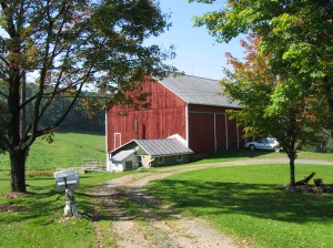 Lyons Farm 04 (11)