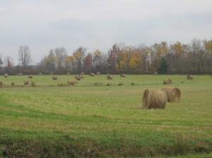 Welch Settlement 04 (3)