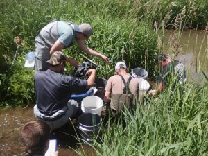 Pfleegor_before_electrofishing