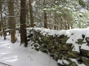 bride-farm-stone-wall-2
