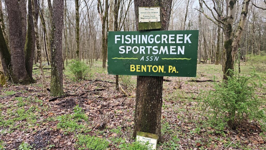 This image has an empty alt attribute; its file name is Zaner-2024-4-12-09-1-1024x577.jpg