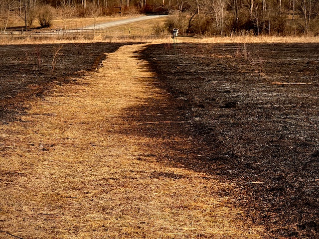 This image has an empty alt attribute; its file name is path-before.jpeg